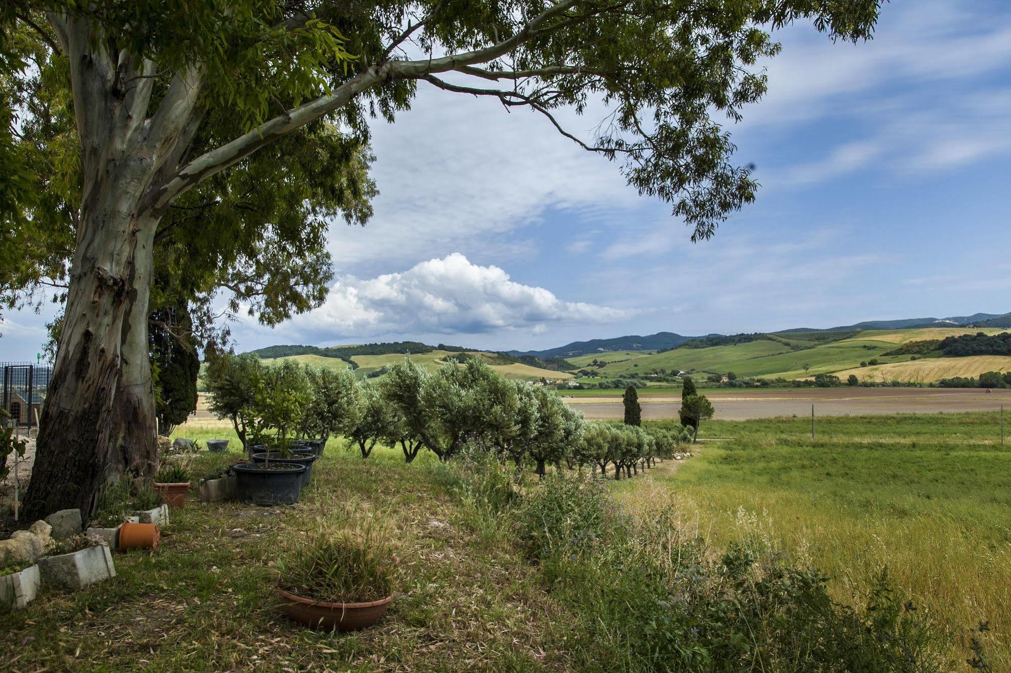 Locanda Villa Naumanni Tarquinia Dış mekan fotoğraf
